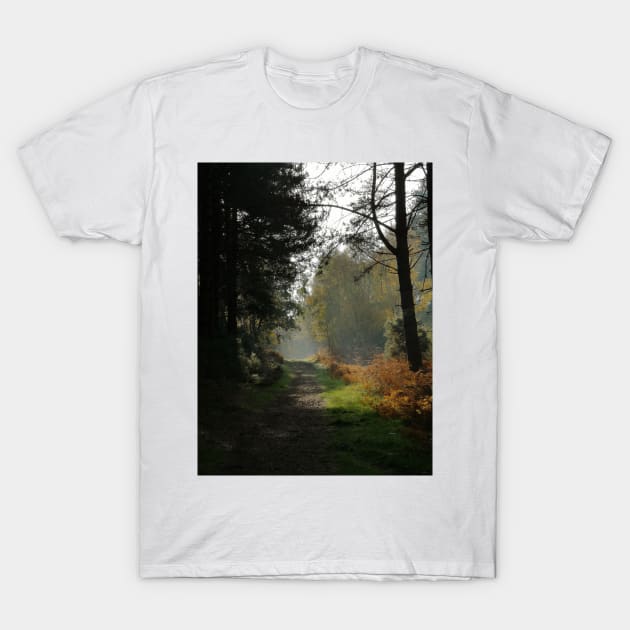 Forest Path in Fall T-Shirt by jamesknightsart